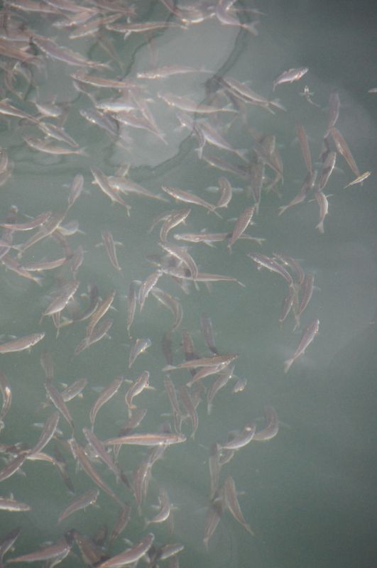 Viewing photos→2016→2016-09-03→14