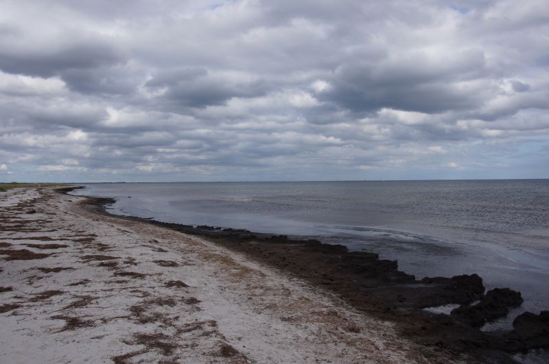 Viewing photos→2016→2016-09-11→24