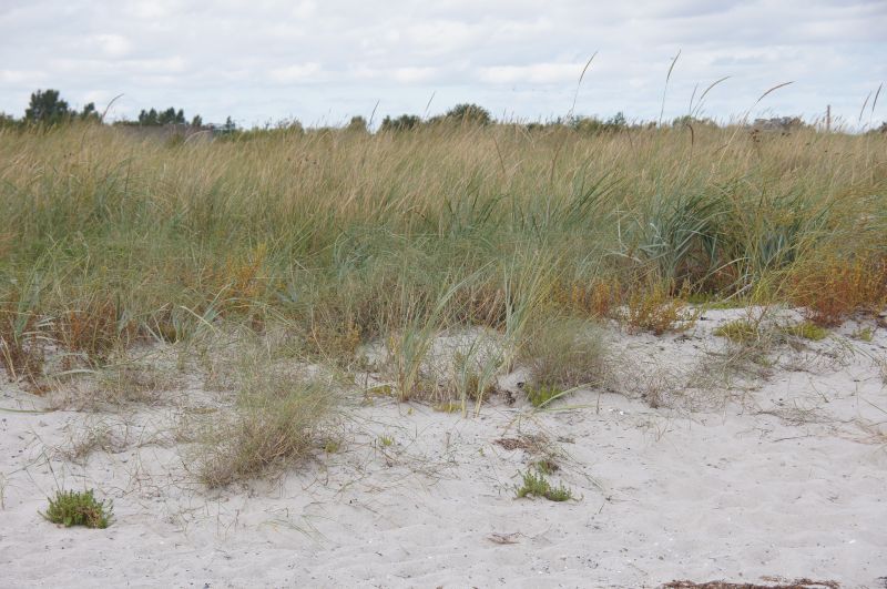 Viewing photos→2016→2016-09-11→26