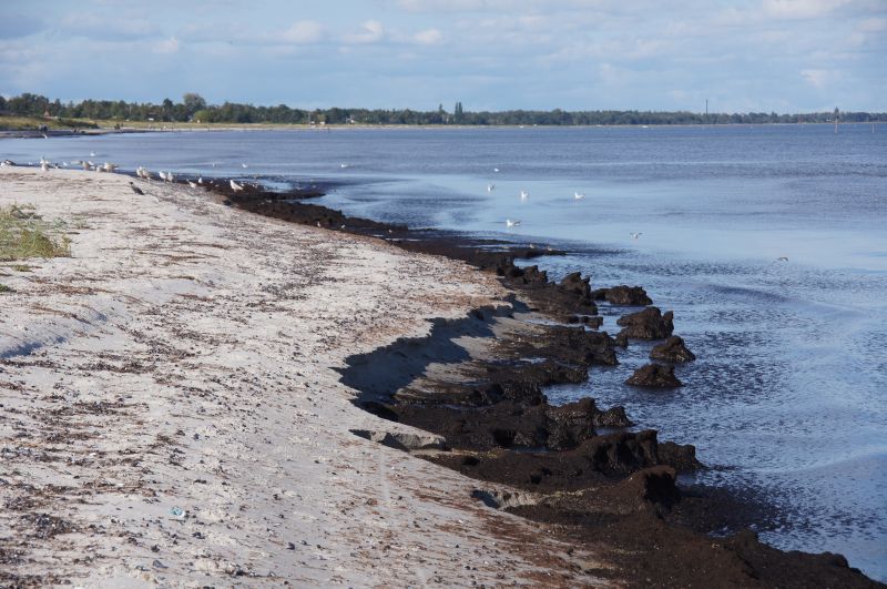 Viewing photos→2016→2016-09-11→30