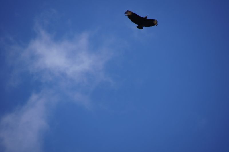 Viewing photos→2016→2016-12-02→001