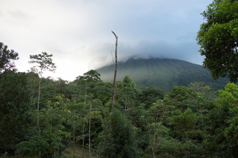 Viewing photos→2016→2016-12-02→006