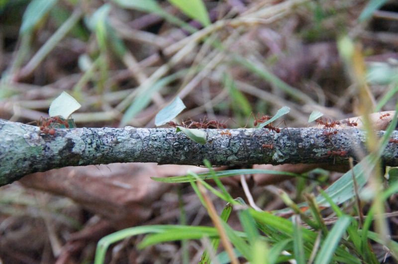 Viewing photos→2016→2016-12-02→009