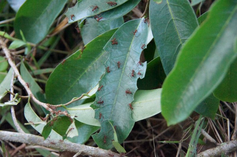 Viewing photos→2016→2016-12-02→014