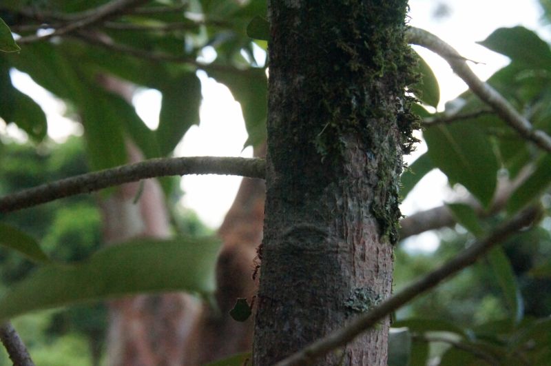 Viewing photos→2016→2016-12-02→015