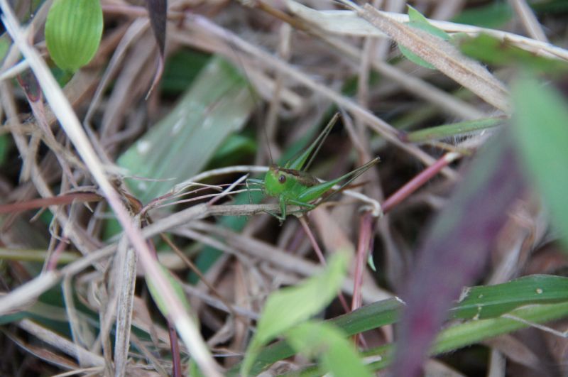 Viewing photos→2016→2016-12-02→017