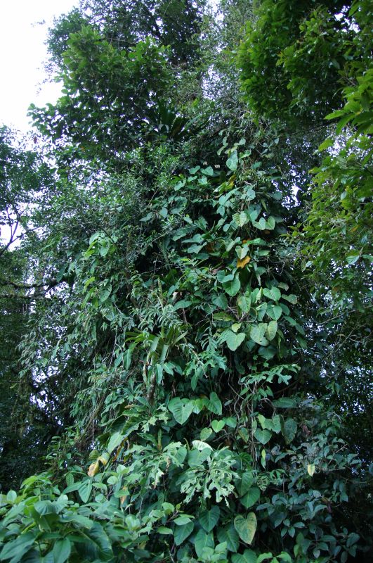 Viewing photos→2016→2016-12-02→019