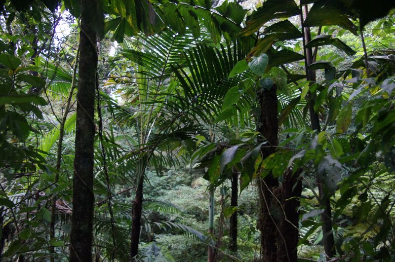 Viewing photos→2016→2016-12-02→020