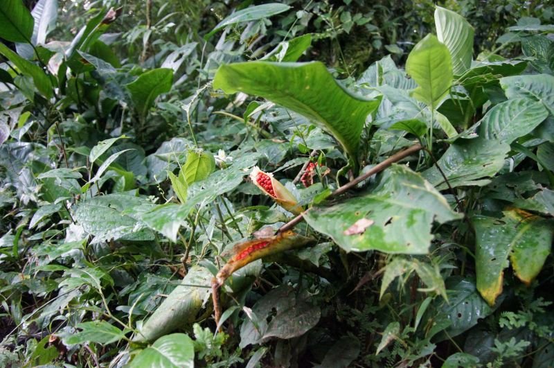 Viewing photos→2016→2016-12-02→023