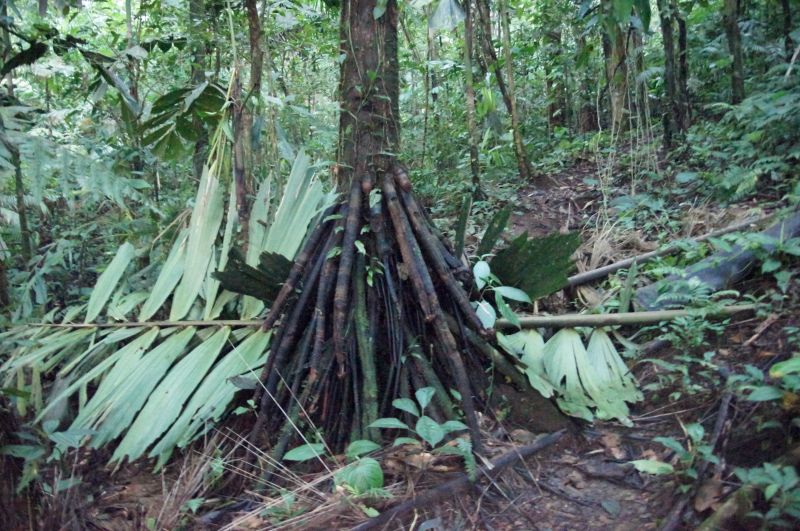 Viewing photos→2016→2016-12-02→025