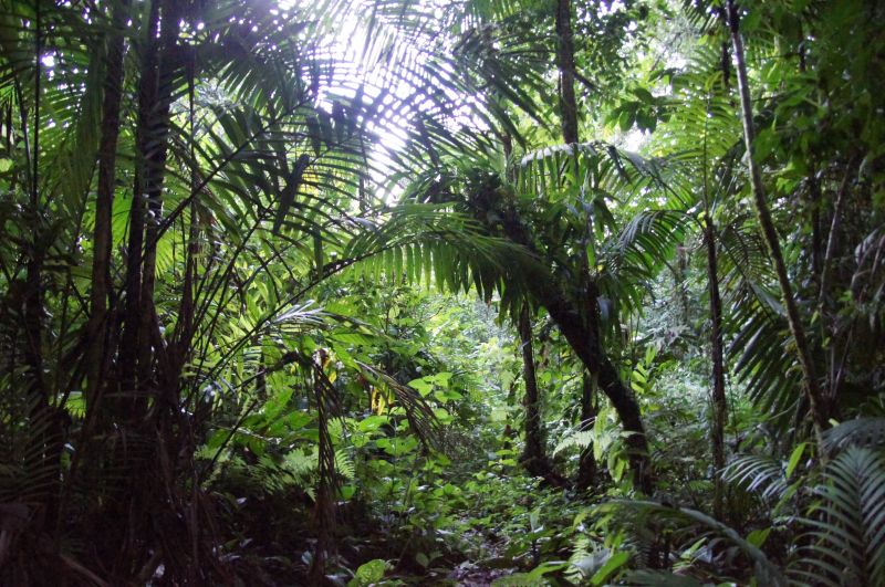 Viewing photos→2016→2016-12-02→026