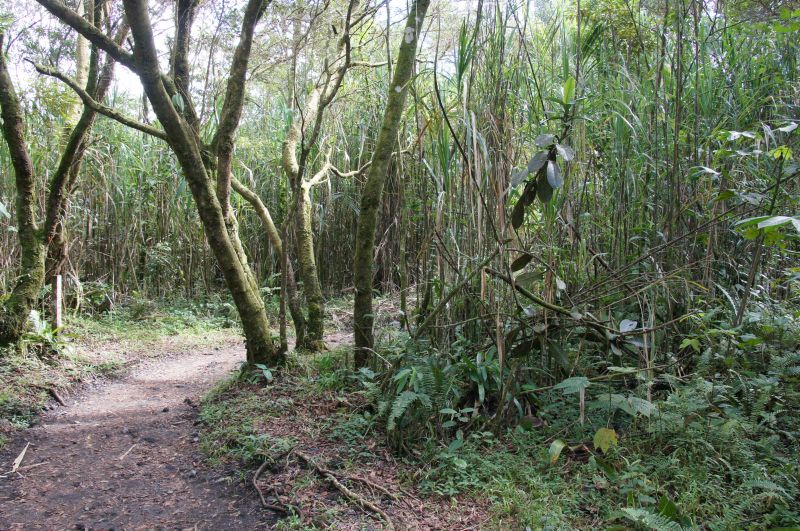 Viewing photos→2016→2016-12-02→033