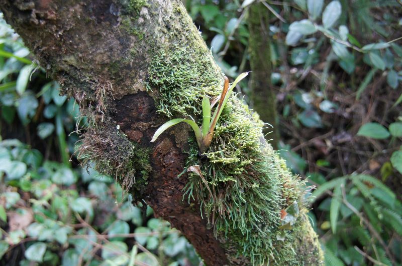 Viewing photos→2016→2016-12-02→035