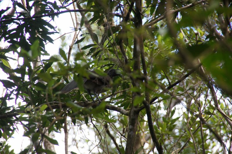 Viewing photos→2016→2016-12-02→036