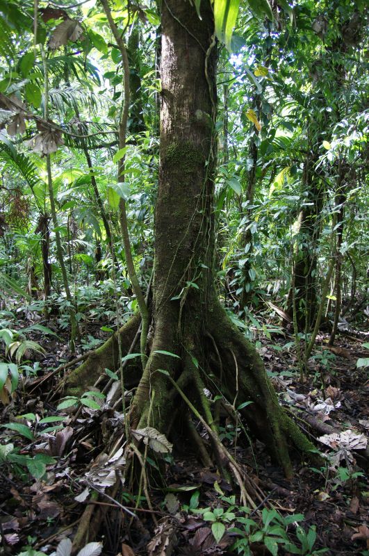 Viewing photos→2016→2016-12-02→040