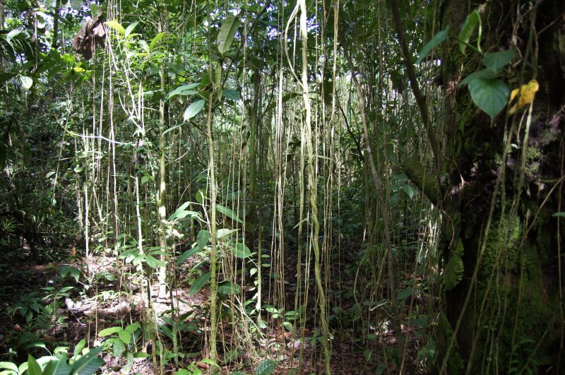 Viewing photos→2016→2016-12-02→041