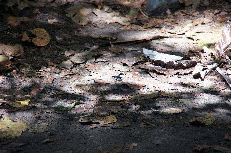 Viewing photos→2016→2016-12-02→045