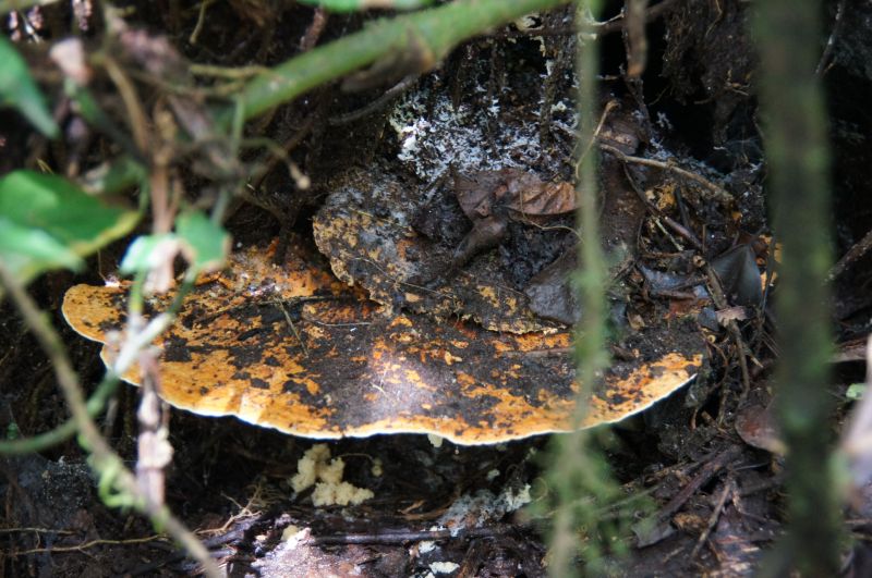 Viewing photos→2016→2016-12-02→046