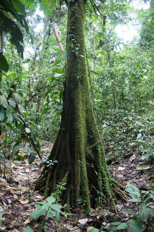 Viewing photos→2016→2016-12-02→050