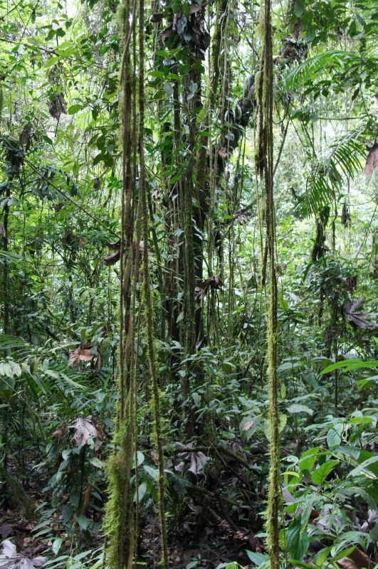 Viewing photos→2016→2016-12-02→052