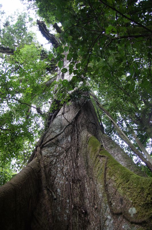 Viewing photos→2016→2016-12-02→056