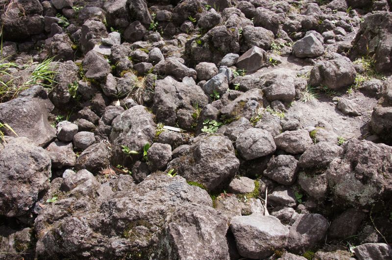 Viewing photos→2016→2016-12-02→063