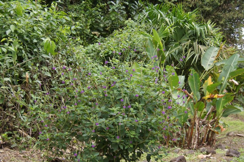 Viewing photos→2016→2016-12-02→083