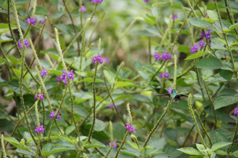 Viewing photos→2016→2016-12-02→085