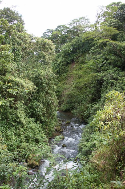 Viewing photos→2016→2016-12-02→092