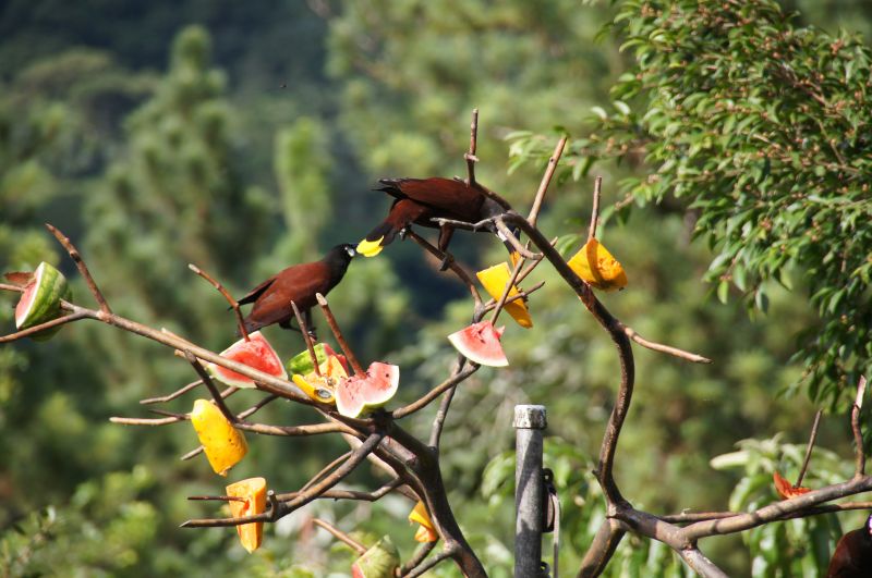 Viewing photos→2016→2016-12-02→103