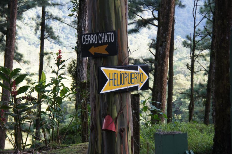 Viewing photos→2016→2016-12-02→105