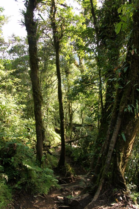 Viewing photos→2016→2016-12-02→108