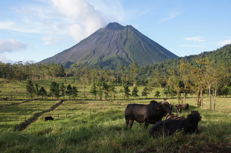 Viewing photos→2016→2016-12-02→109