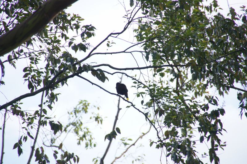 Viewing photos→2016→2016-12-02→110