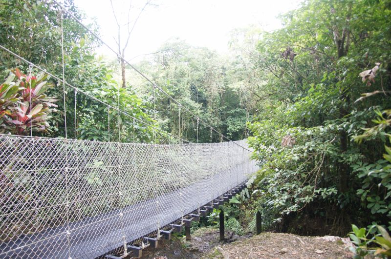 Viewing photos→2016→2016-12-02→114