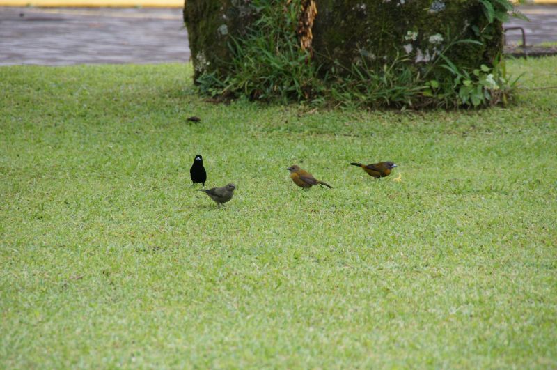 Viewing photos→2016→2016-12-02→125