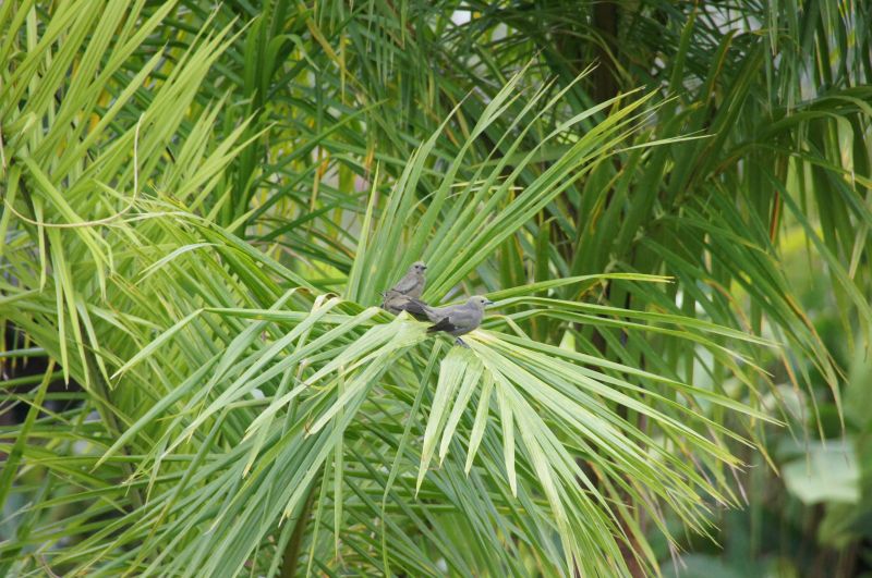 Viewing photos→2016→2016-12-02→126