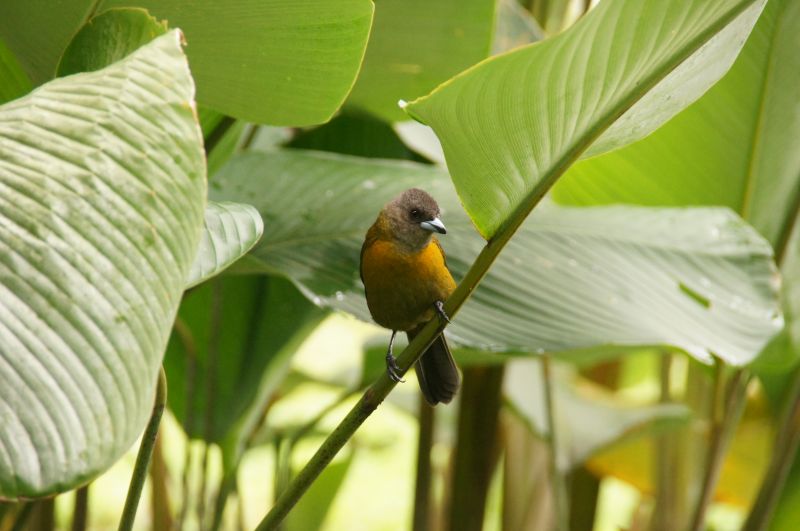 Viewing photos→2016→2016-12-02→133