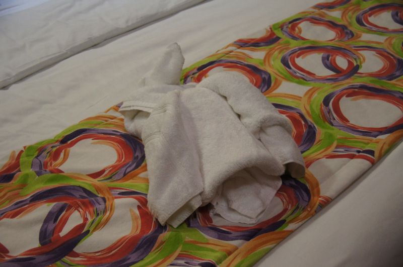 Viewing photos→2016→2016-12-02→139