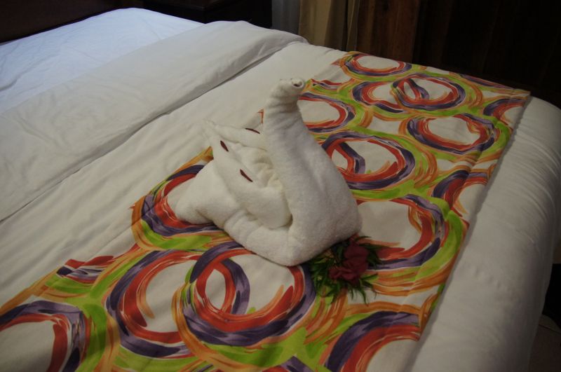 Viewing photos→2016→2016-12-02→144