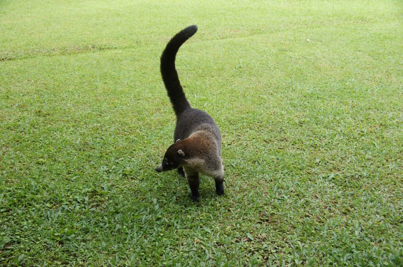 Viewing photos→2016→2016-12-02→146