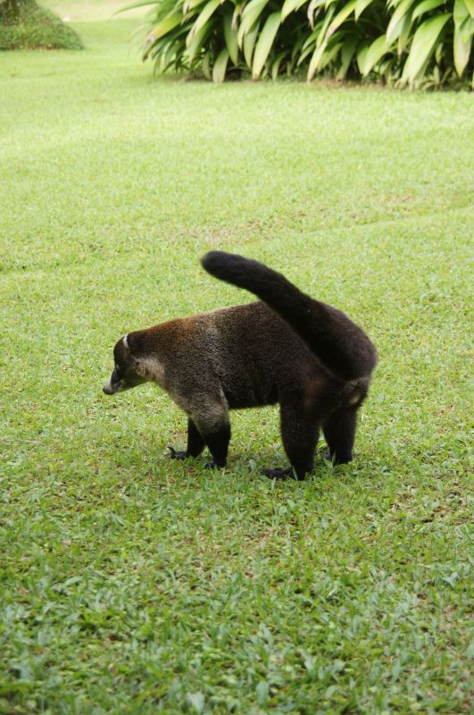 Viewing photos→2016→2016-12-02→147