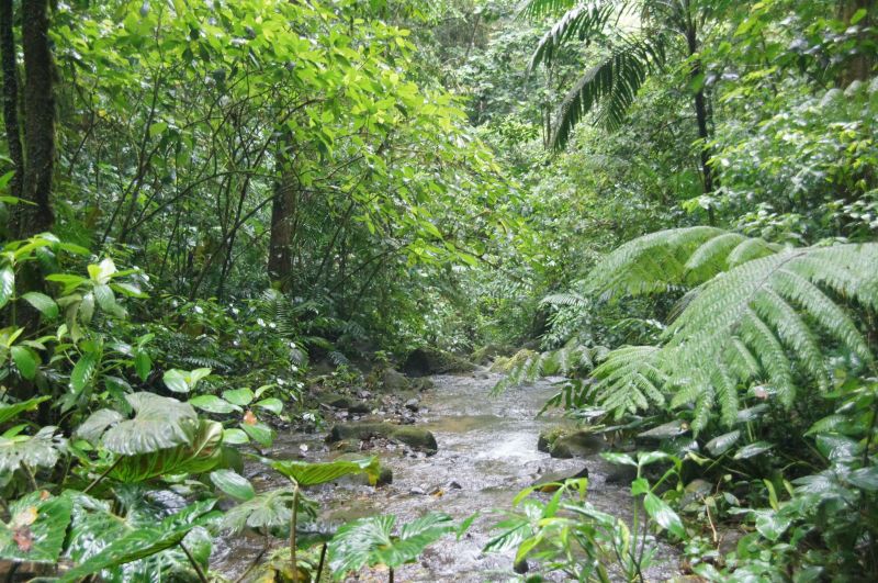 Viewing photos→2016→2016-12-02→173