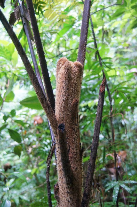 Viewing photos→2016→2016-12-02→181