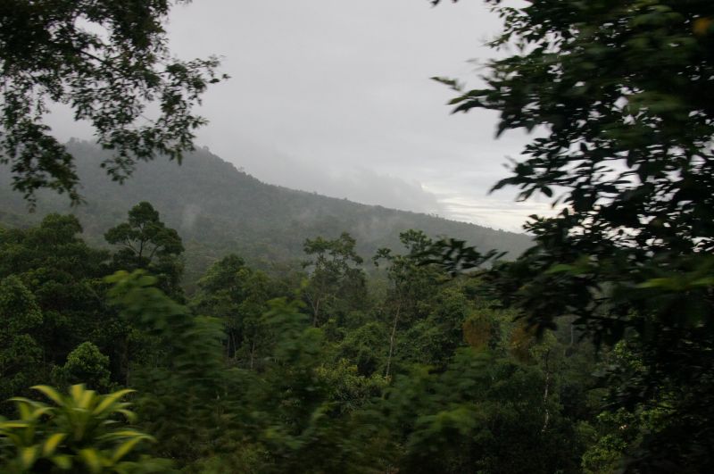 Viewing photos→2016→2016-12-02→185