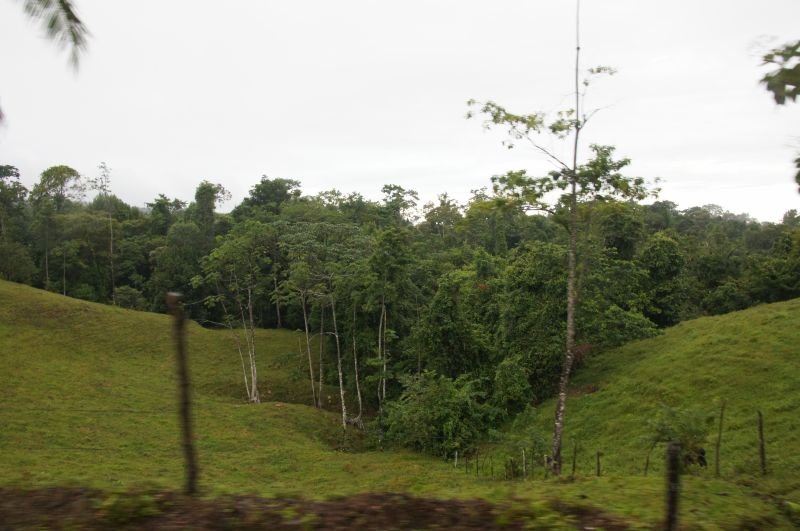 Viewing photos→2016→2016-12-02→187