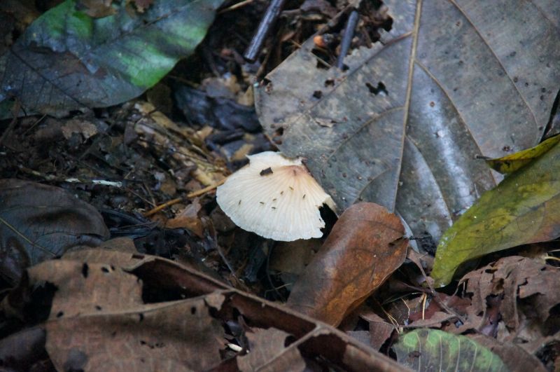 Viewing photos→2016→2016-12-02→193