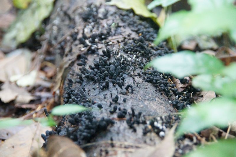 Viewing photos→2016→2016-12-02→209