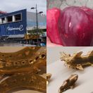 2016-12-10<br/>
<b>San José, Costa Rica</b>
