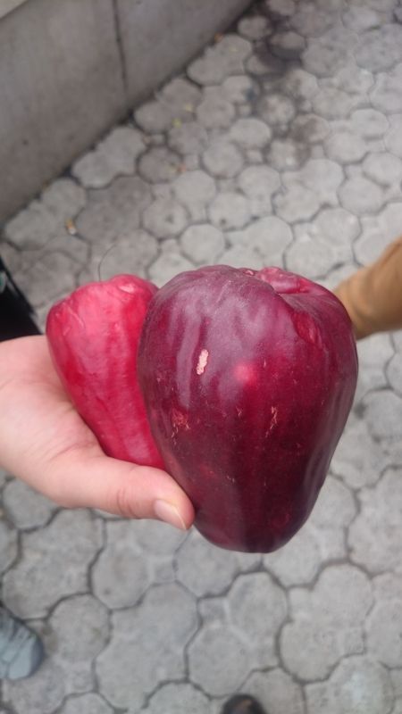 Viewing photos→2016→2016-12-10→11